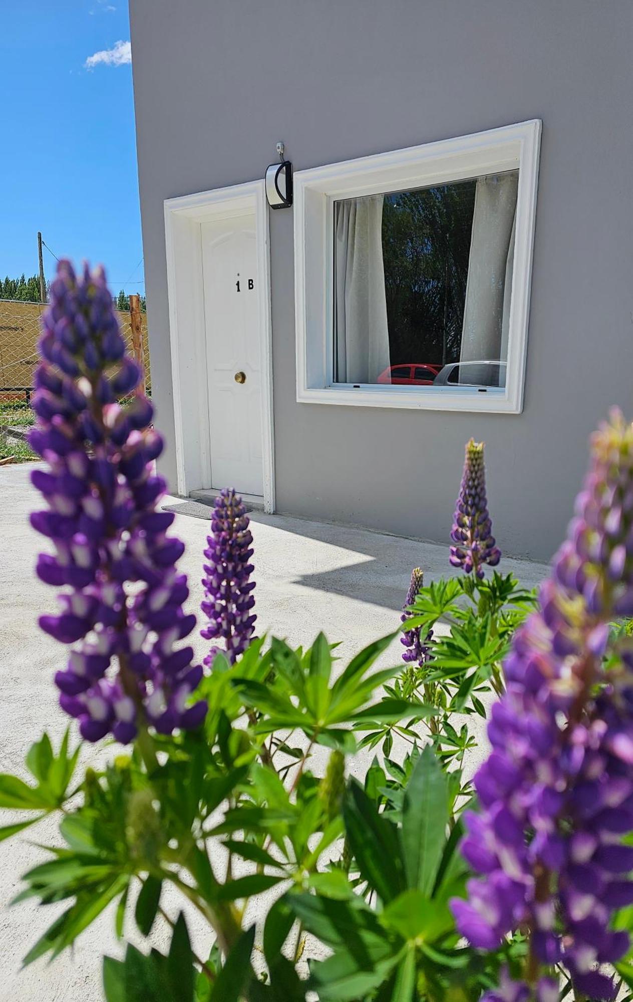 Alameda Apart El Calafate Zewnętrze zdjęcie